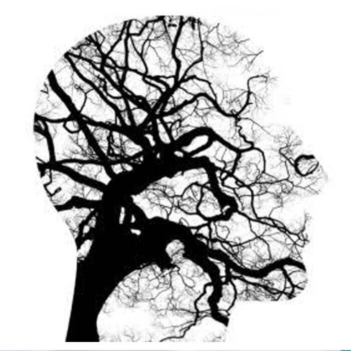 Trauma Centre in Baramati | Sushila Accident Hospital